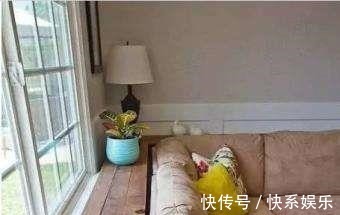 收纳|越来越多人客厅不装柜子,他们都爱这样设计,省钱实用不占地!