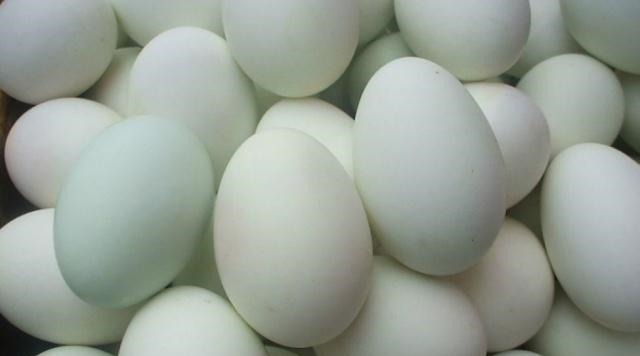 孕妇妈妈|怀孕阶段,这4种“美食”孕妇要记得吃,助你生下高颜值的宝宝!