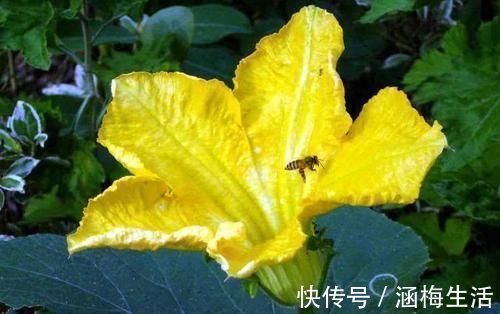 秋葵|长寿的人都有这5个好习惯,50岁之后照着做,多活十年并非难事