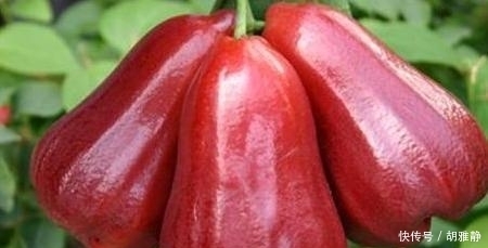 被天使亲吻过的水果，草莓颜值爆表，网友：第4种忍不住想咬一口