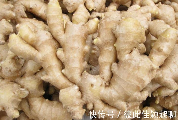 膝盖|膝盖肿有积液?一妙方消肿止痛,活血化瘀,专家说一月赶走滑膜炎