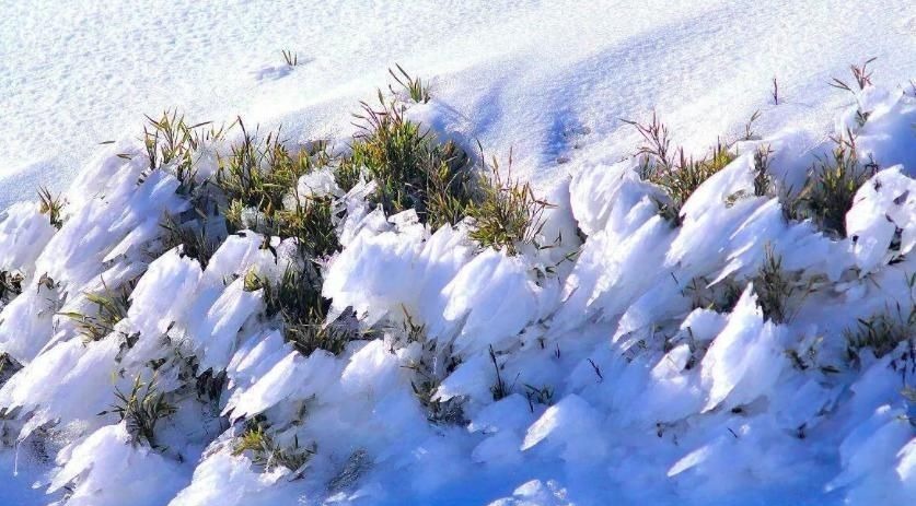 酬王二十舍人雪中见寄&柳宗元的这首诗很冷门,却写尽了万千情意,令人荡气回肠!