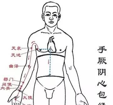  学会|人体12条经络！每条经络都隐藏着一个按摩小秘密！学会能治愈百疾