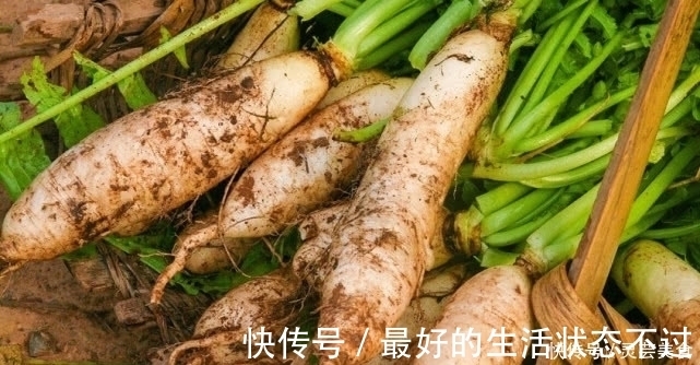 菜市场|在菜市场看到“此菜”,无论多贵都买回家,不常见,还超好吃!
