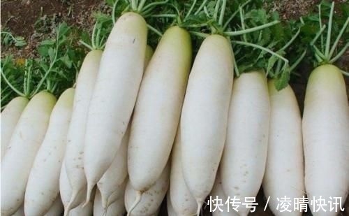 老菜农偷偷告诉我这样的白萝卜再便宜也别买，大多人不懂涨知识