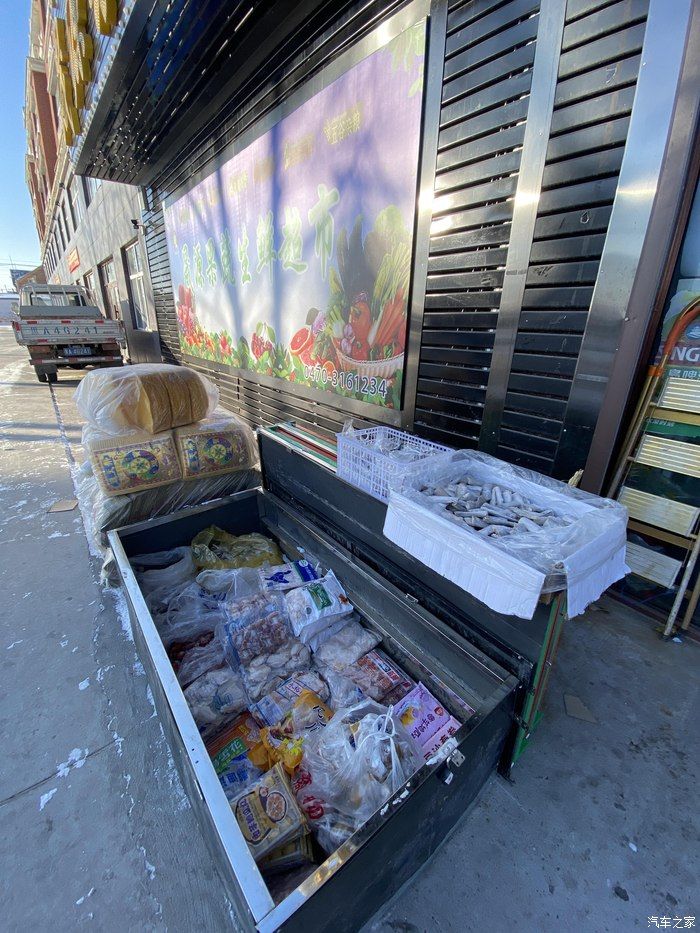 魅力雪境-与福克斯一起探索呼伦贝尔的冬天