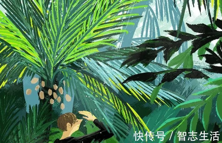 媳妇|“媳妇,坐月子吃肉对你不好”“那好,先把2万块的护理费还我”