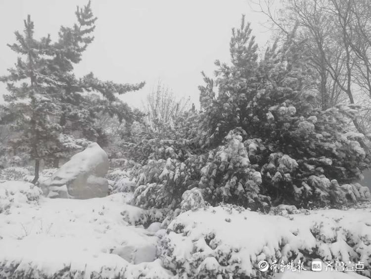 一片银装素裹！晶莹雪花把日照五莲芙蓉广场装扮的格外美