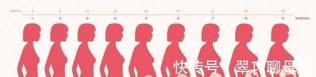子宫|怀孕后几个月开始显怀,孕肚“时大时小”咋回事儿孕妈要了解