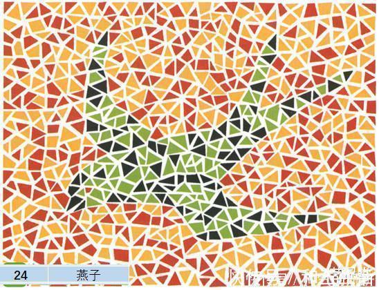 色觉|5张色觉测试图，第二张是66还是88真的太难了！