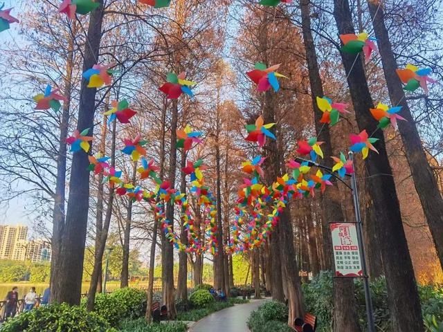 中年|2000平方米花展！流花湖公园11组主题景观华丽亮相