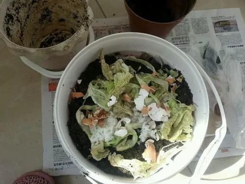 自制4种营养土,再也不板结烂根,大白根能挤破盆!