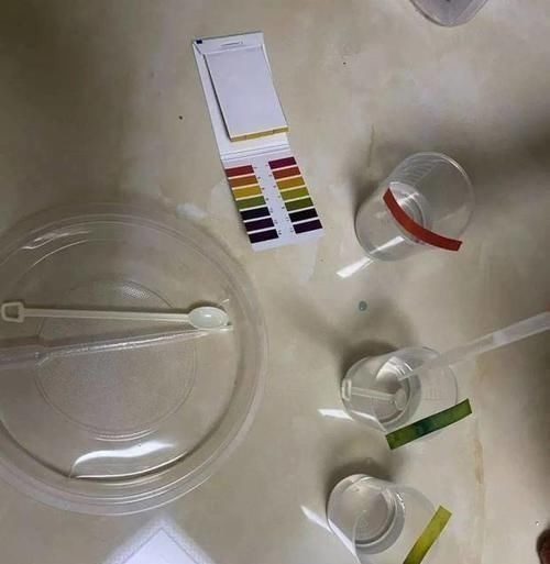 养花土里掺点它,碱性变酸性,花卉叶子呼呼长!