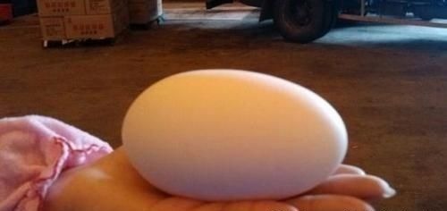 孕妈|因怀孕坚持吃鹅蛋?医生怒道:就算再无知,也别拿宝宝生命开玩笑