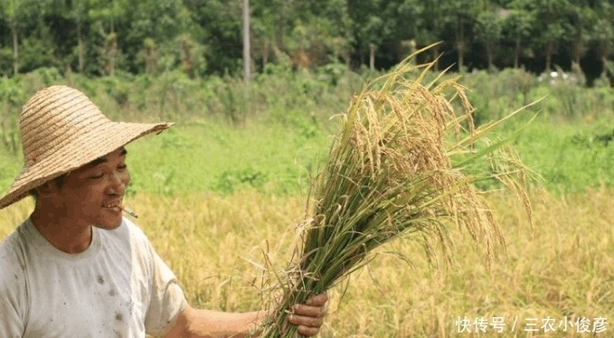 下联|上联: 锄禾日当午, 学者给出经典下联, 成就千古绝对