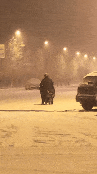 |搞笑GIF趣图:妹子拍照很赞,用这样的姿势好看的都是大长腿