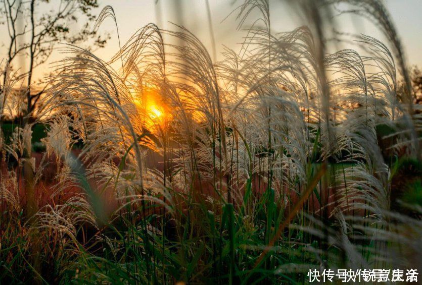 长亭连短亭|李白很经典的一首词,浑然天成的意境,令人赞不绝口