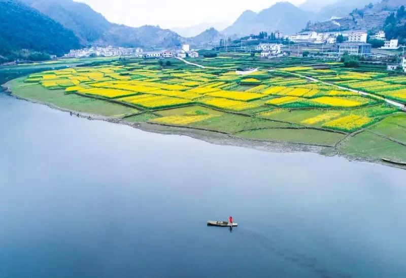 梓桐镇|书画小镇好戏不断 艺术赋能乡村振兴