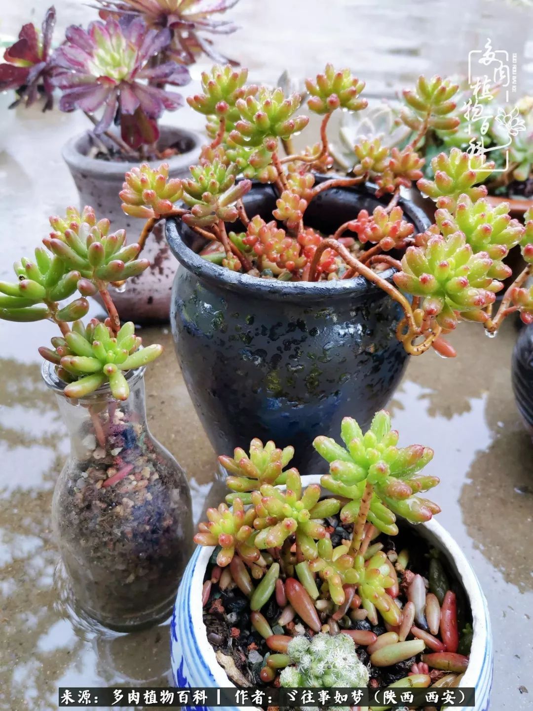 愿你付出甘之如饴,愿你所得归于欢喜!