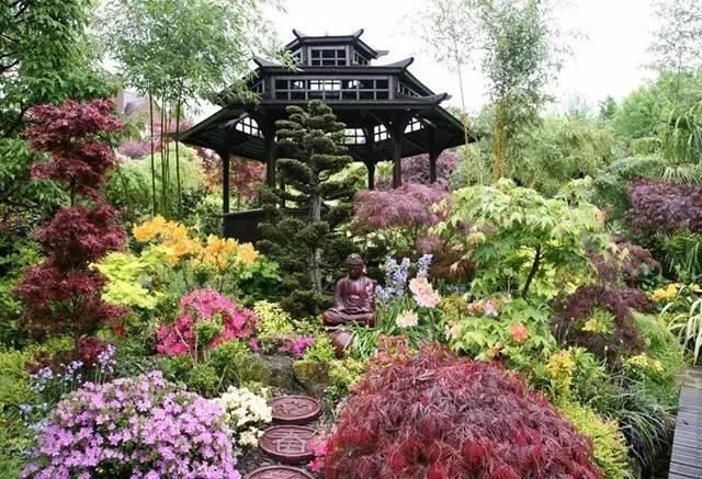  绝美|7旬夫妻用27年建绝美花园，全球花友慕名来“探花”