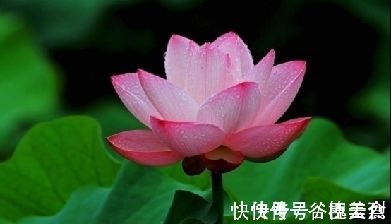 射手座|未来三天,4个星座,心情变好,不为小事生气,也不再愁眉苦脸