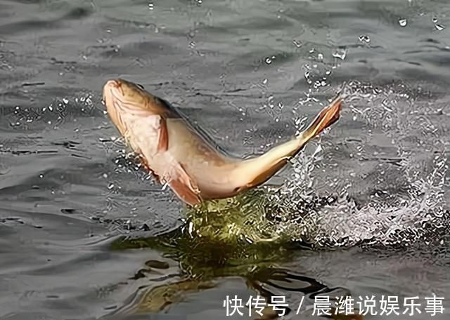 钓鱼|钓鱼人都经历过的3件“邪门事”,无法解释却真实存在