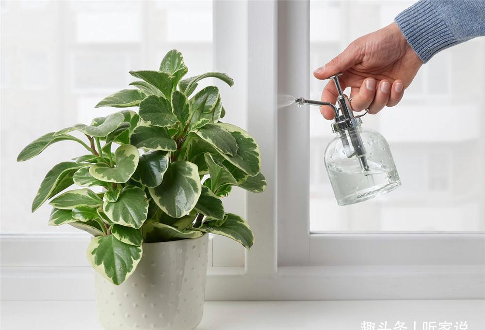 袜子|宜家哪些家居好物值得买?推荐大家:这10件小物真不错,便宜实用