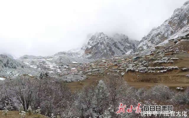 白雪遇春花，四月的迭部爱了爱了