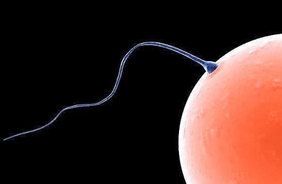 避孕|有种“避孕方法”安全方便，若老公愿意去做，真幸运，遇到了真爱