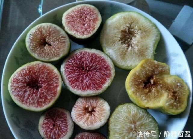 最好养的盆栽水果，集观赏、食用于一身，养好了年年开花结果