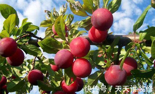 排毒|女性想要皮肤好,多吃4种食物,排毒美容,补益气血,延缓衰老