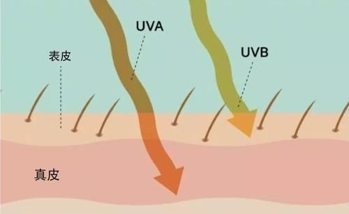 防晒 坚持用了“4年”防晒霜,皮肤发生了“大改变”,不止变白了!