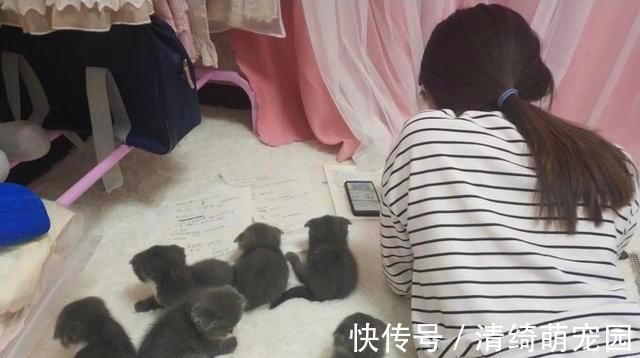 心理健康|女孩趴着做作业,妈妈进来后,一看背上乐了:陪读还挺多呀