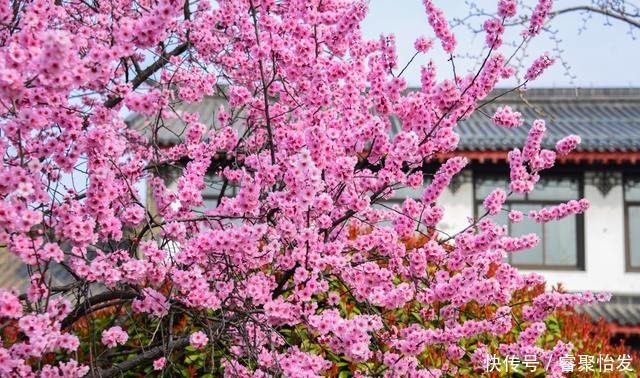 走，带上家人去野餐！《济南春日野餐指南》请收好！