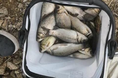 渔翁|蚯蚓钓鱼已成过去,老渔翁教你只要2个蛋,半天就能钓90斤