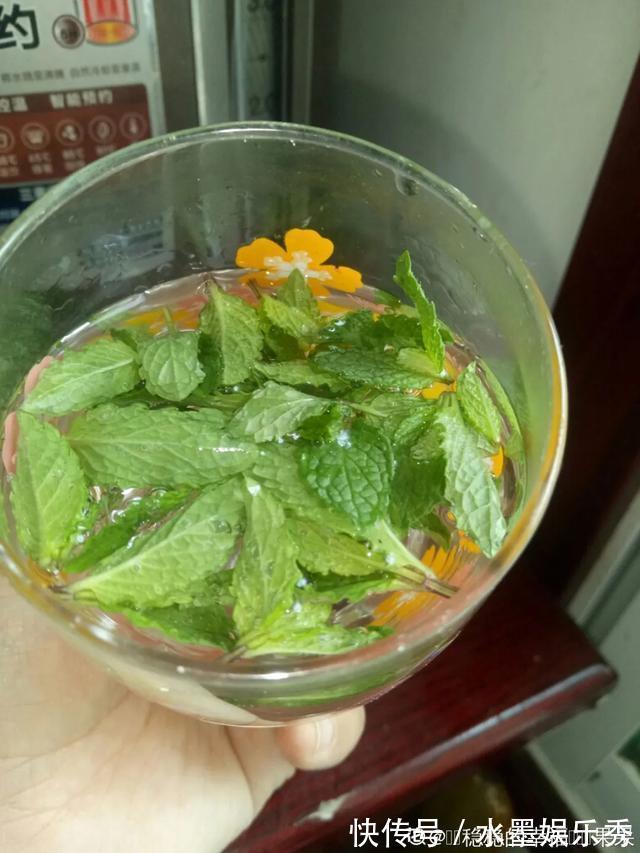 6种杀菌花，杀菌去异味，家里空气更干净！