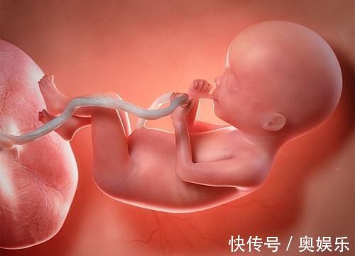 腹部肥胖|同样怀孕,为啥有的人怀孕8个月都不显怀,而有的3个月就显怀?