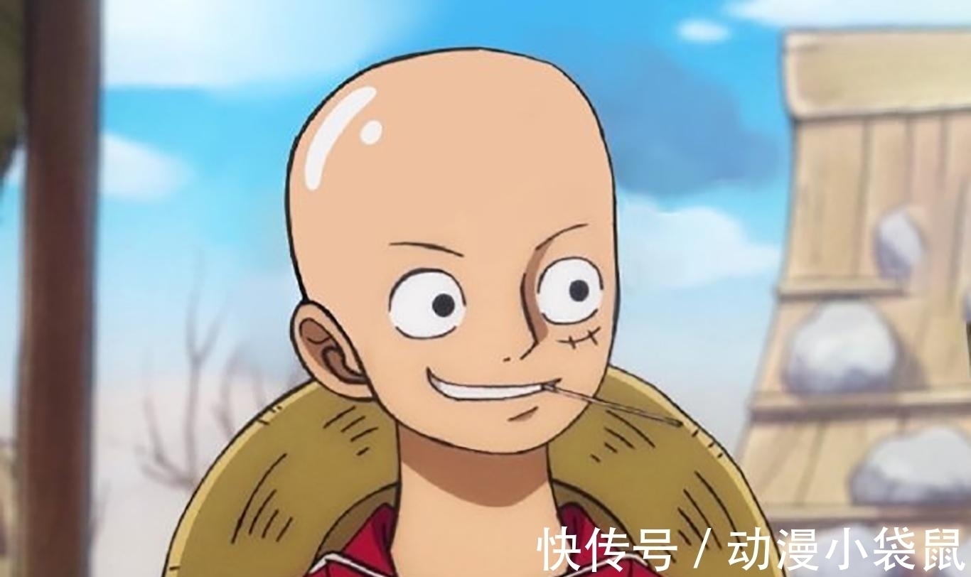 乔巴|《海贼王》草帽团被全员剃光头,娜美不再女神,布鲁克毫无违和感