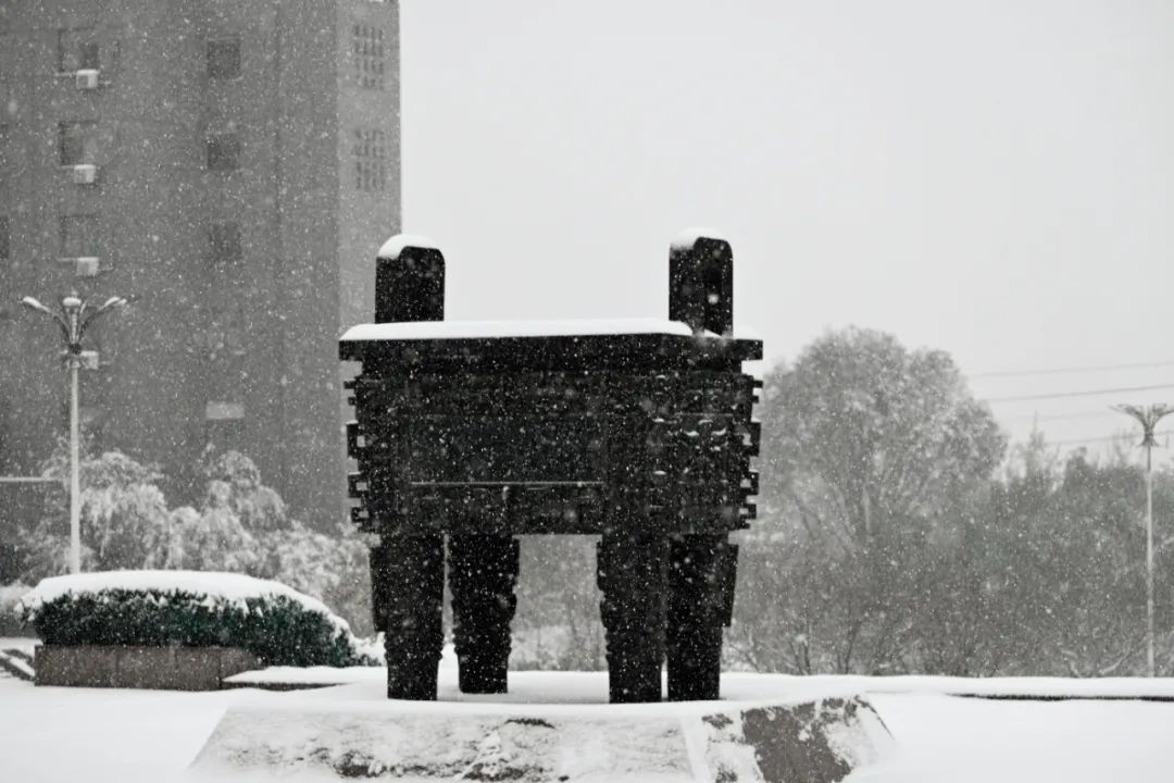 初雪|定格·山东商院的初雪