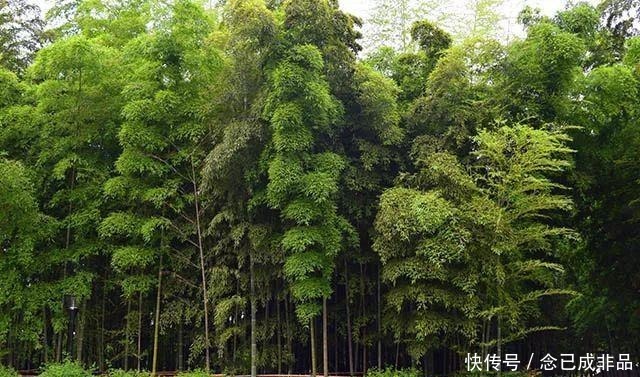 《水浒传》揭示的人生五大忌，一个也不要犯