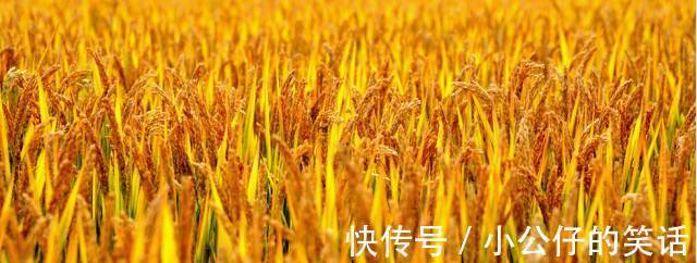 嵌字诗|今天9月9日，如此才华横溢的诗，你见过吗？绝！太绝了！