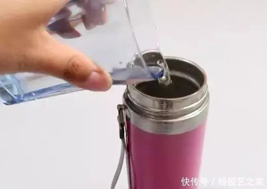 细菌|保温杯不清洗比马桶还脏？加入这2样东西摇一摇，细菌污垢全干净