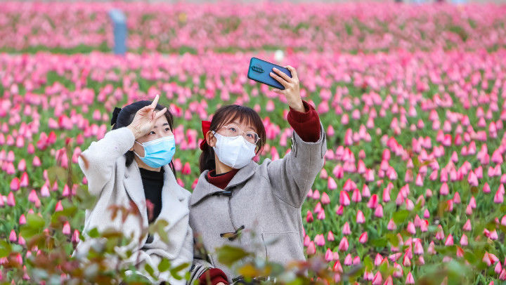 一万个春天的文案，都不如济南郁金香花海来得浪漫，快来打卡