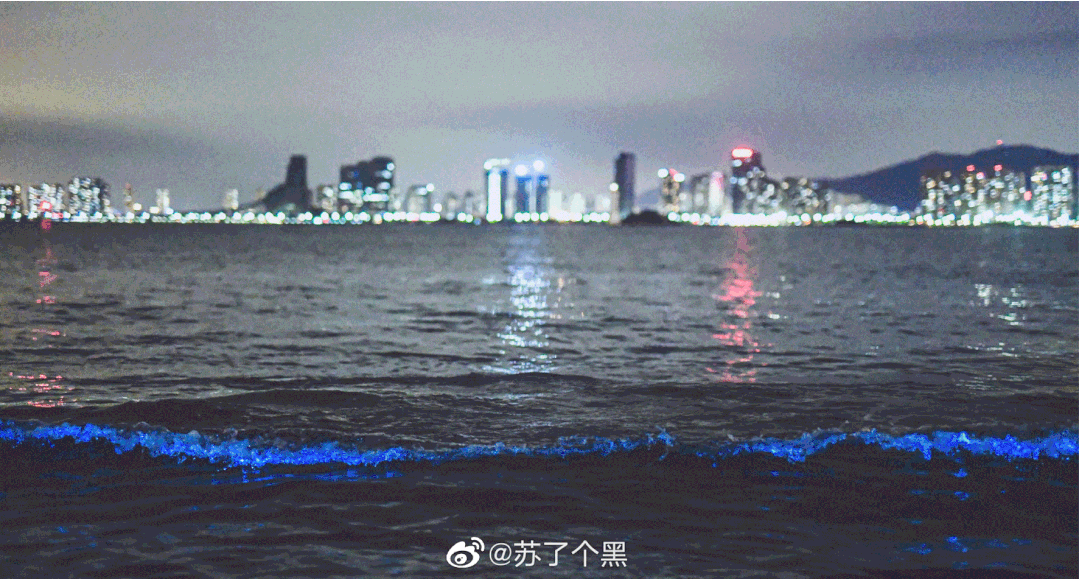 海峡导报|突发！厦门海沧湾公园人人人人人