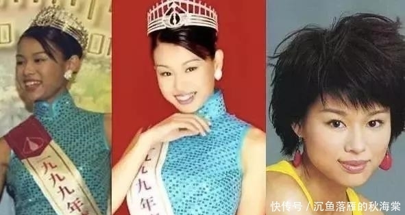 演员胡杏儿是u201c宠猫圣手u201d：与猫相伴，做更好的自己！ - 全网搜