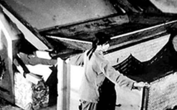 考古队|考古队于1980年打开光绪陵墓,为何先作呕后欢呼?原因很简单