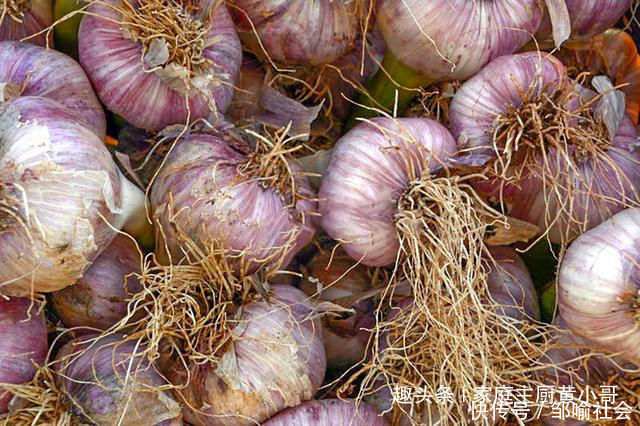 发芽|家里保存大蒜其实很简单,教你个土法子,别再担心大蒜长芽干瘪了