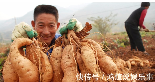 血糖|红薯是升血糖还是降血糖?今天给你解释清楚了