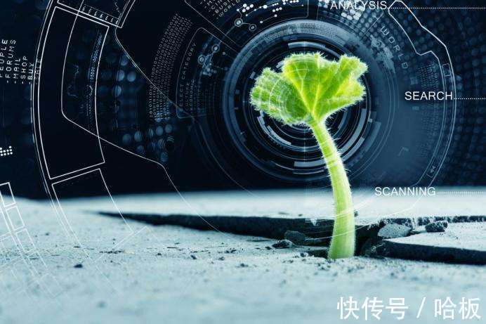 石墨烯|盘点未来几年内的十大科技趋势,你对哪一项最期待?