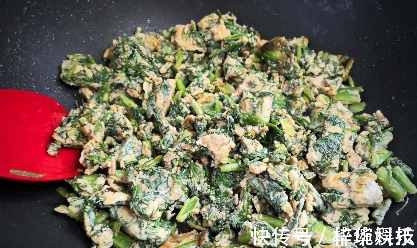 茴香|藏在身边的“养胃药”,是药也是菜,每天吃点,肠胃越来越健康